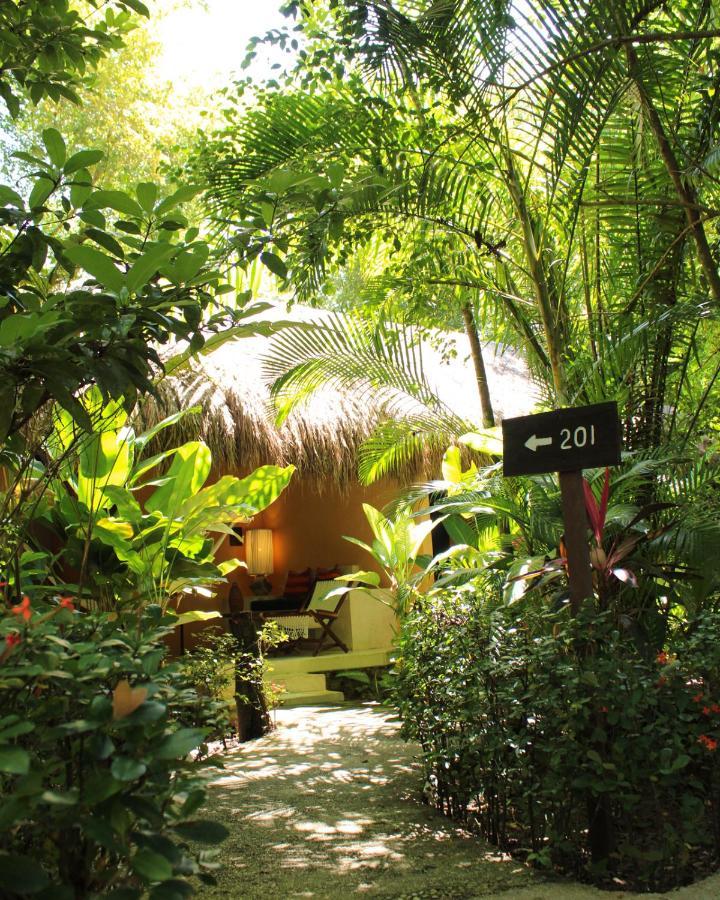 Piedra De Agua Palenque Hotell Exteriör bild