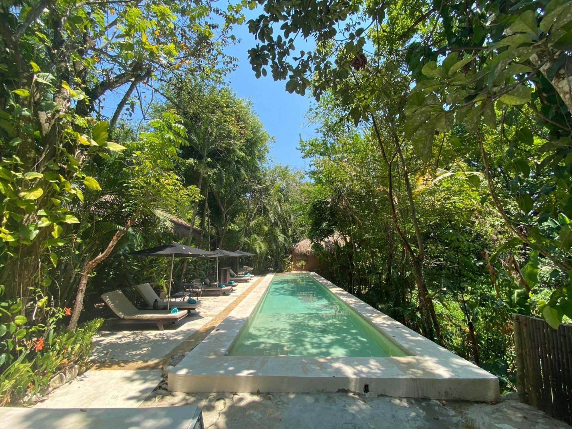 Piedra De Agua Palenque Hotell Exteriör bild