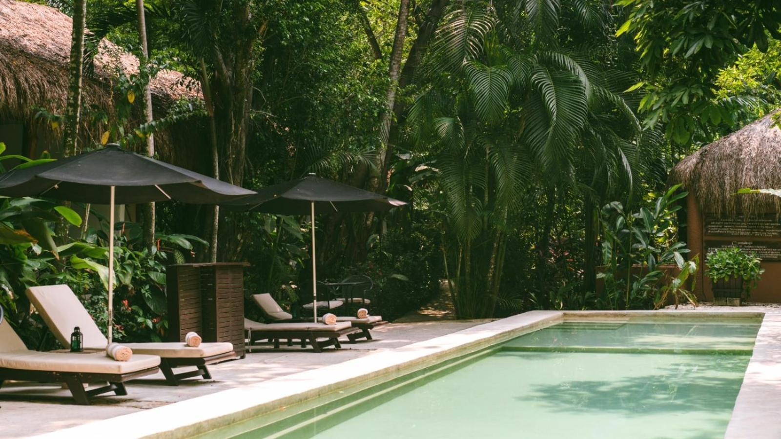 Piedra De Agua Palenque Hotell Exteriör bild